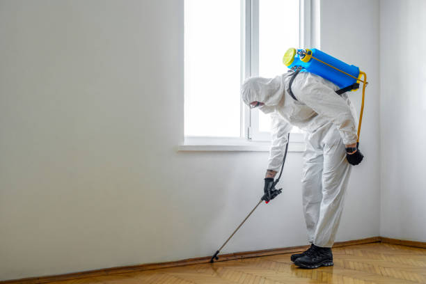 Best Affordable Pest Control Services  in Weirton, WV
